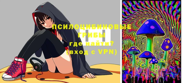 стаф Алексеевка