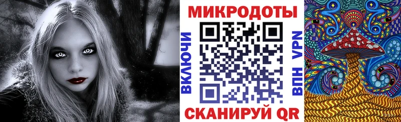 Псилоцибиновые грибы Cubensis  кракен маркетплейс  Бокситогорск 