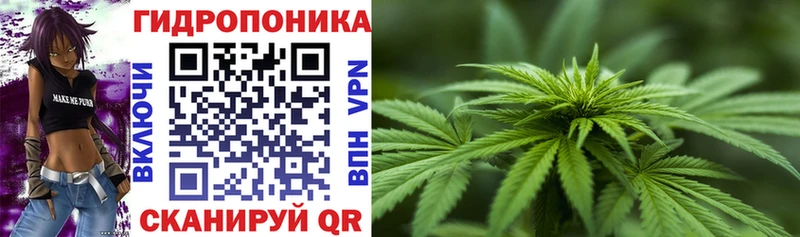 где продают   Бокситогорск  Бошки марихуана Ganja 